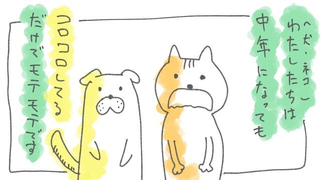 中年の猫と犬