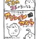 【これが気になる！】アクションカメラが気になるのですのサムネイル画像