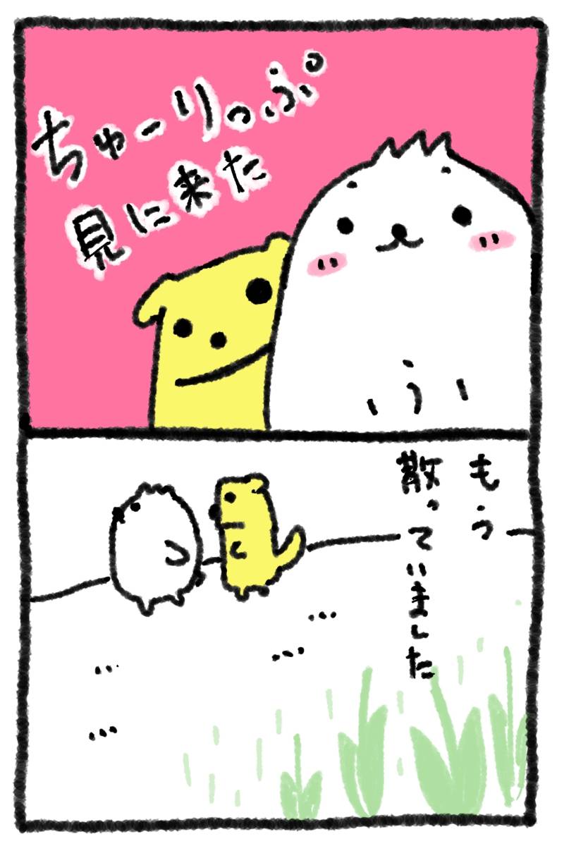 【2コマ漫画】チューリップを見に来た