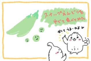 スナップエンドウ、ふと気づく新しい美味しさ
