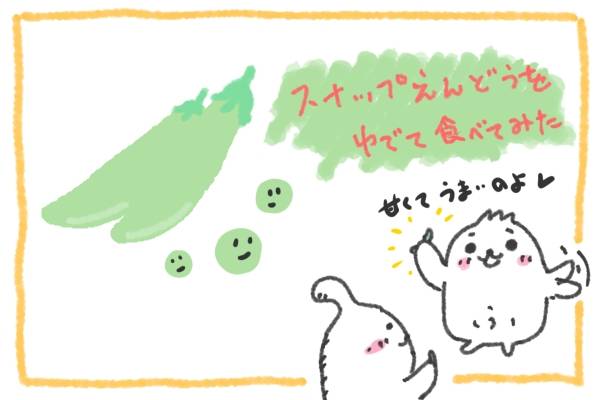 スナップエンドウ、ふと気づく新しい美味しさ