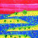 Island Rhythms: An Explosion of Color in a Playful Acrylic Seascape
